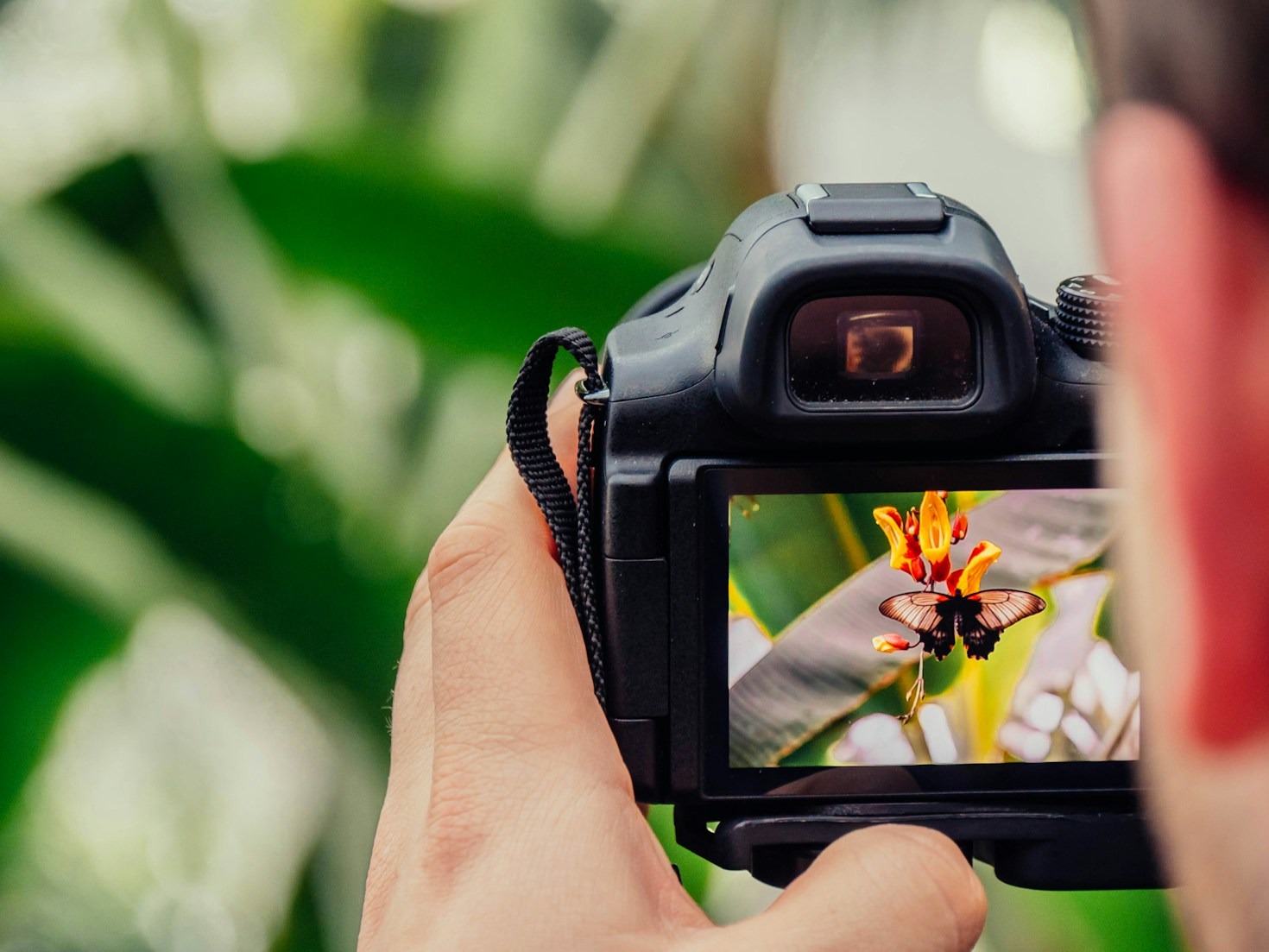 Wie man Momente für immer einfängt